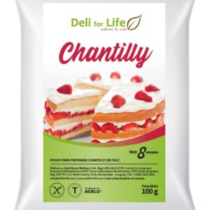 Polvo para preparar Chantilly 100g-Deli for Life