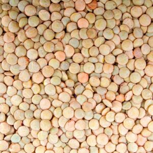 agriculture, backdrop, bean-316595.jpg