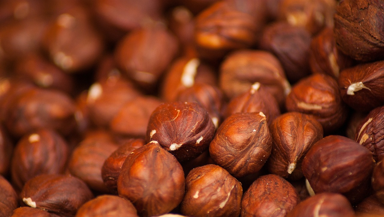 hazelnuts, hazel, nuts-1707601.jpg