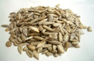 sunflower seeds, kernels, nuts-1139.jpg