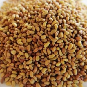 Semilla de alfalfa 100g