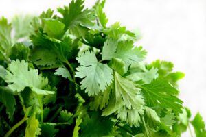 cilantro, herbs, food-1287301.jpg