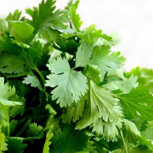 cilantro, herbs, food-1287301.jpg
