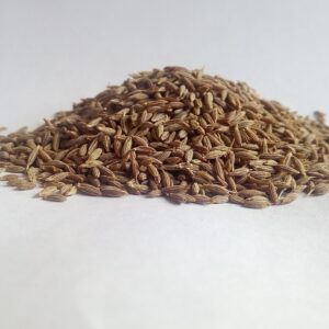 cumin, white cumin, herbs-5377178.jpg