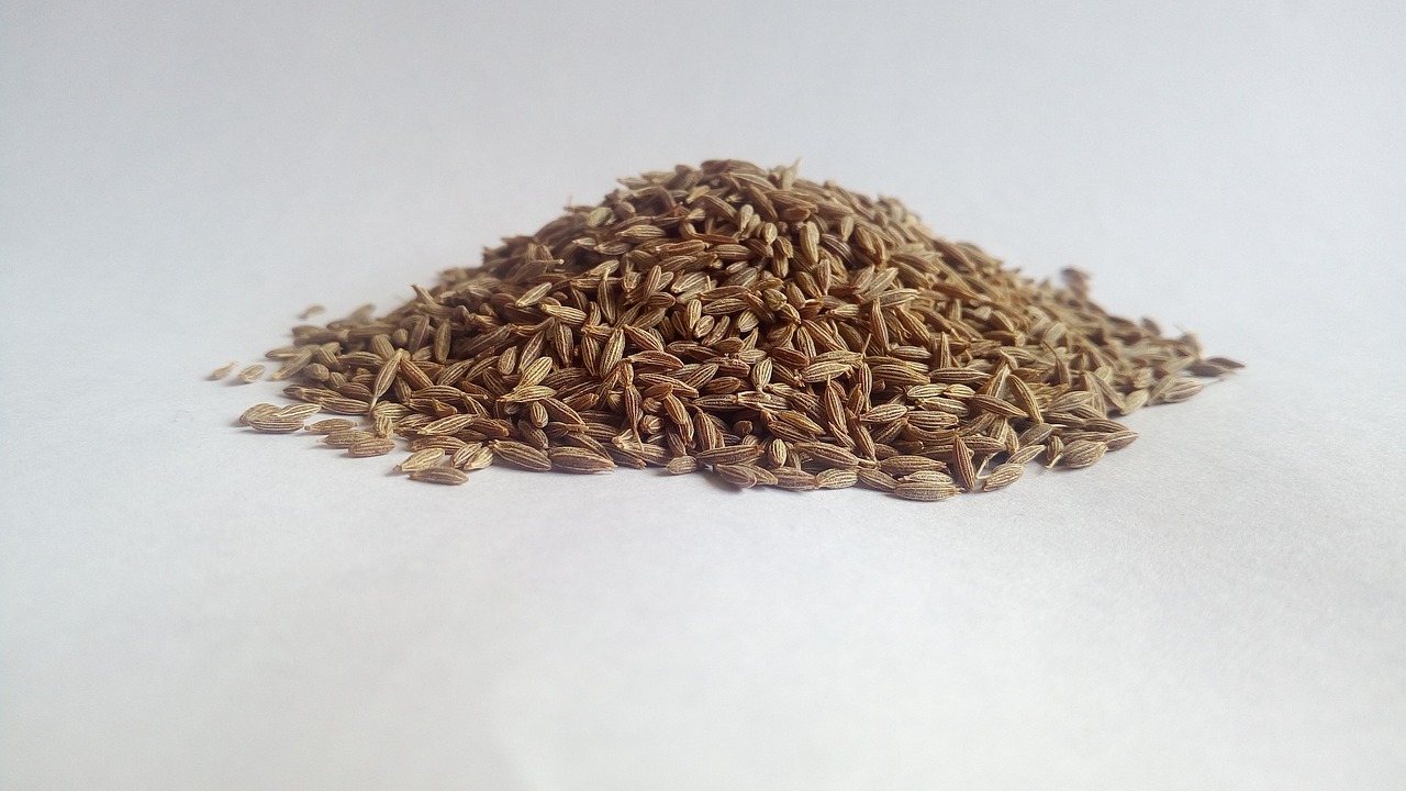 cumin, white cumin, herbs-5377178.jpg