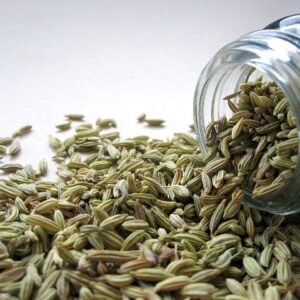 fennel, seeds, spice-2617.jpg