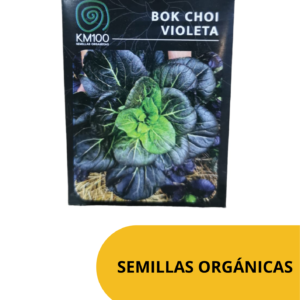 Semillas orgánicas BOK CHOI VIOLETA