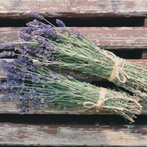beautiful flowers, flowers, fresh-1866481.jpg