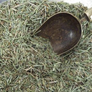 Cola de caballo
