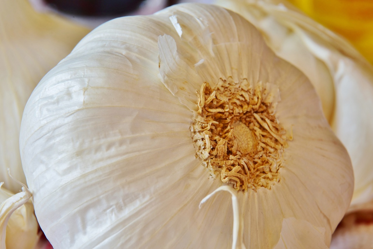 garlic, ingredient, flavor-3617113.jpg