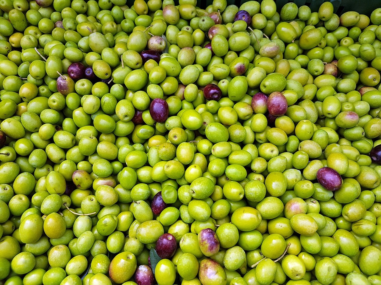 olives, fruit, mediterranean-2167822.jpg