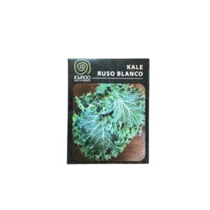 Semillas orgánicas KALE RUSO BLANCO-  km100