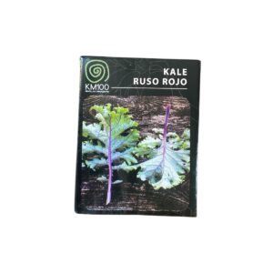 Semillas orgánicas KALE RUSO ROJO- km100