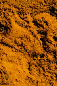 A detailed close-up of vibrant yellow turmeric powder showing its textured surface.