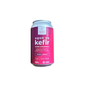 Kefir ciruela e hibiscus- Wellness factory