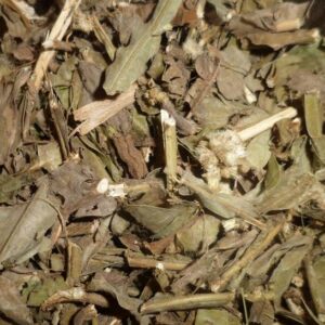 Carqueja