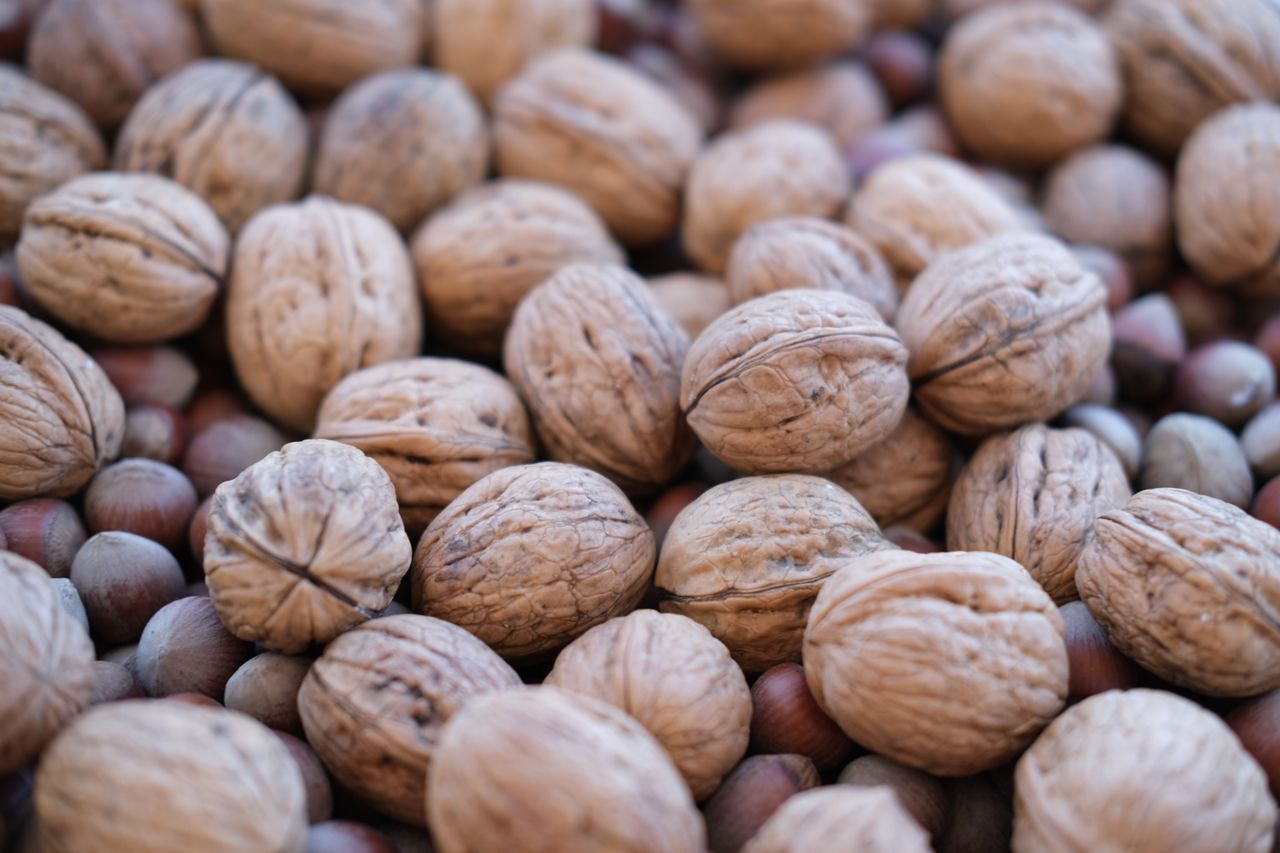 A detailed shot of walnuts and hazelnuts showcasing textures and natural tones.
