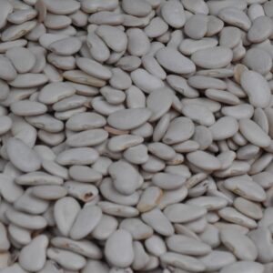 An abundance of white beans, perfect for healthy cooking and nutrition-focused content.