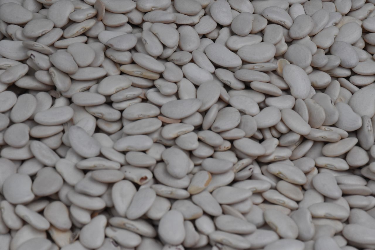 An abundance of white beans, perfect for healthy cooking and nutrition-focused content.