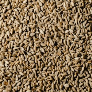 Close-up of peeled sunflower seeds showcasing their intricate texture.