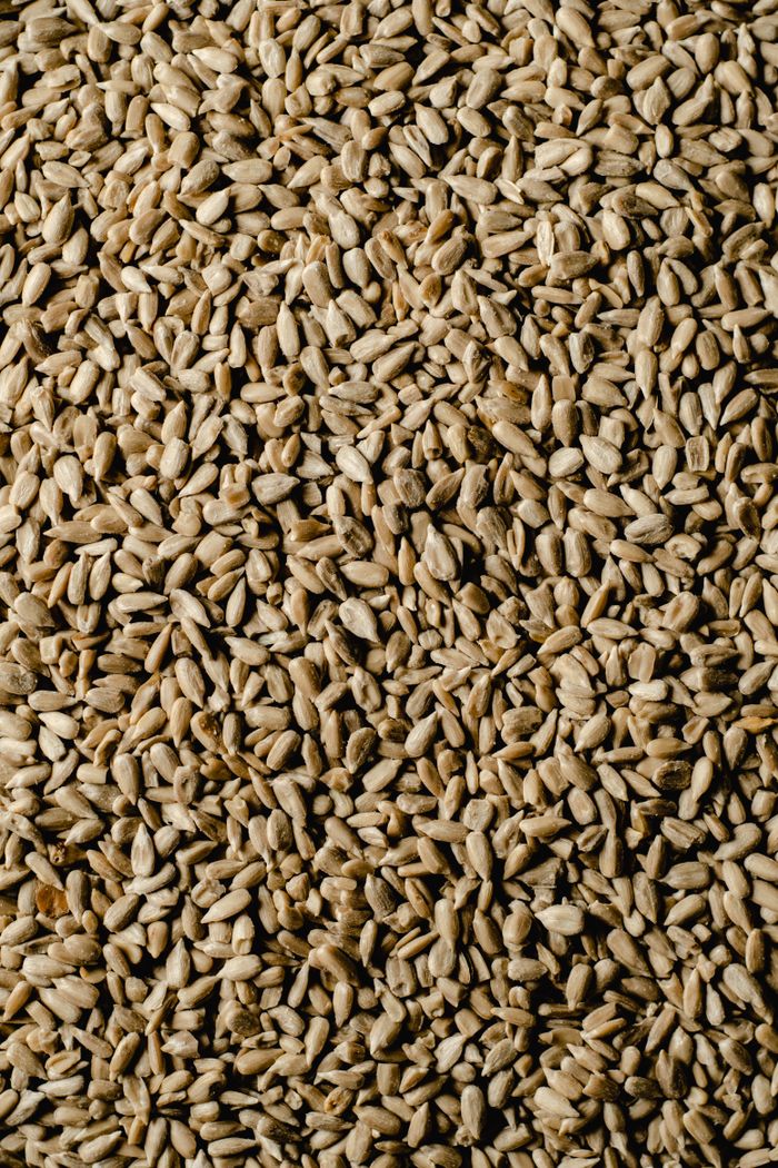 Close-up of peeled sunflower seeds showcasing their intricate texture.
