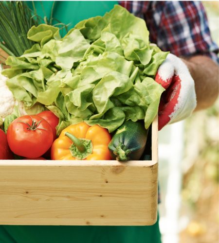 image-01-pye6dicqrh4x01h64tidgct02hw6qpm1zl18ukffgo-04